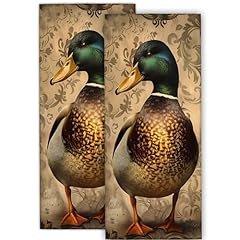 Mallard Duck05