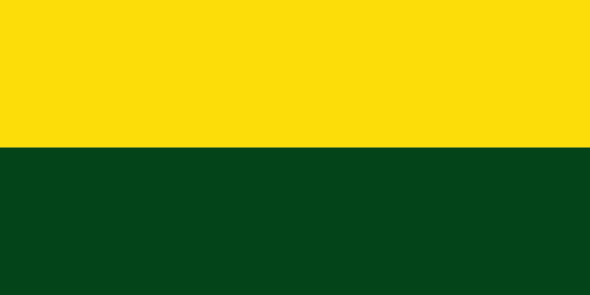 Drapeau Large Candelaria Valle del Cauca Municipio de Candelaria grand format