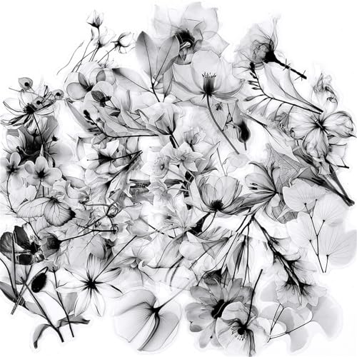 50Pcs Transparent Black and White Waterproof Plant Stickers for Scrapbooking, Water Bottles Laptop...