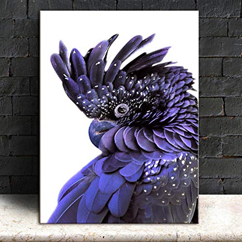 SGFG Australian Parrot Print Black Cockatoo Canvas Painting Modern Wall Art Bird Navy Blue Poster Wall Pictures for Living Room-60x90cm No frame