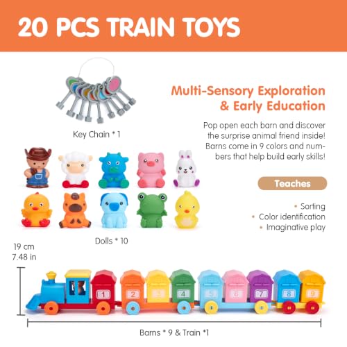 Image of hahaland Montessori Farm Train Set, Toddler Learning Toys for 2-3 Year Olds