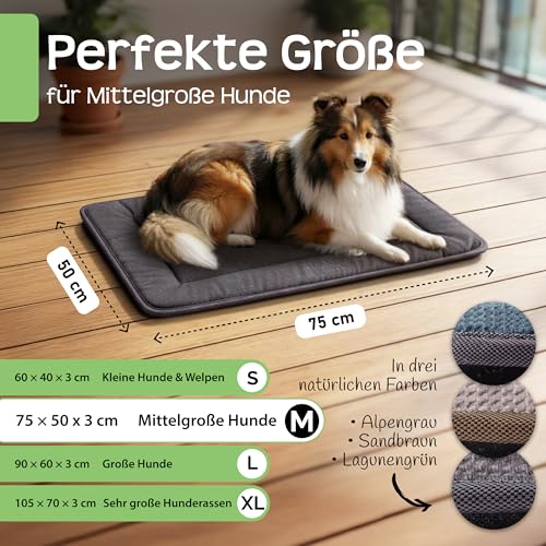 RAW Nature Hundematte KIVO M – 75x55x3 cm Alpengrau, rutschfeste Hundeliegematte aus Cord, waschbar, für Transportbox & Zuhause