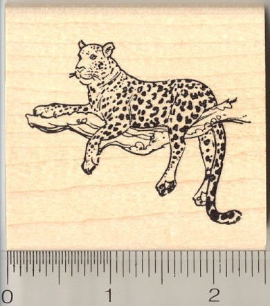Leopard in Tree Rubber Stamp