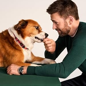 Jinx Oven-Baked Chicken Bone Broth Biscuit Treats, Crunchy, All Natural, Superfood-Rich with Real Chicken, Pumpkin & Blueberries, 16oz Jinx Oven Baked Chicken Bone Broth Biscuit Treats Crunchy All Natural Superfood Rich with Real Chicken Pumpkin Blueberries 16oz