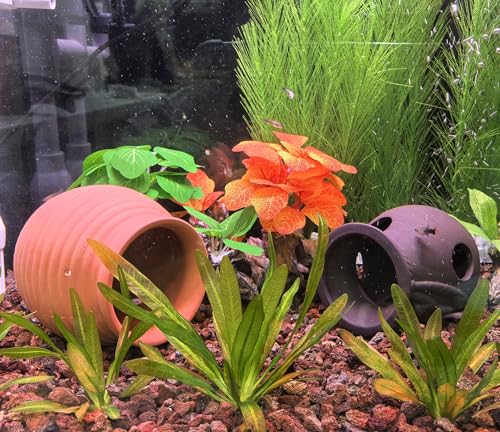 Image of M2cbridge Pottery Ceramic Jar Natural Clay Vase Cichlid Small Fish Shrimp to Play Hide Breed Habitat(Purple Clay, 2pcs)