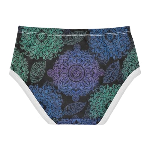 Print Toddler Underwear Floral 2t Cotton Panties for Girl Vintage Floral Blue Flowers Green Briefs Underpants2