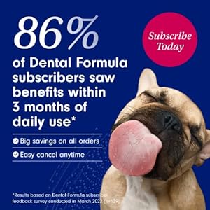   Petlab-Co-Dog-Dental-Formula-Keep-Dog-Breath-Fresh-and-Teeth-Clean-Supports-Gum-Health-Water-Additive-Dental-Care-Targets-Tartar-Packaging-May-Vary