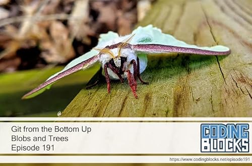 Git from the Bottom Up &ndash; Blobs and Trees Podcast Por  arte de portada