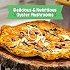 Back to the Roots Organic Mini Mushroom Grow Kit, Harvest Gourmet Oyster Mushrooms In 10 days, Top Gardening Gift, Holiday Gift, & Unique Gift #4