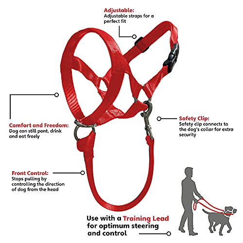 Dog Head Collar, No Pull Training Tool For Dogs On Walks, Includes Free Training Guide, 5 (M, Red) #TOP1