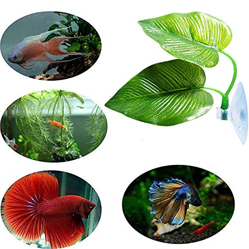 YUTOU 2 Stück Betta Bett Bed Blatt Hängematte für Betta Fisch Künstliche Pflanze Blatt Betta Aquarium Dekoration mit Saugnapf Wasserpflanzen Dekorationen natürlichen Lebensraums simuliert