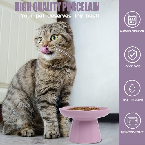Image of Wide Shallow 6.1 inch Raised Cat Bowls, Ceramic Elevated Food Plate for Flat Faced Cats and Small Dogs, Porcelain Feeder Bowl, Stress Free, Protect Cat's Spine, Lavender
