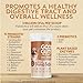 Fidobiotics Good Guts for Lil Mutts Probiotic for Dogs, Billions of CFUs, 11 Strains, 5 Digestive Enzymes, 2 Prebiotics, Digestive Gut Health for Dogs, Adult & Puppy Probiotics Supplements (30 Days)