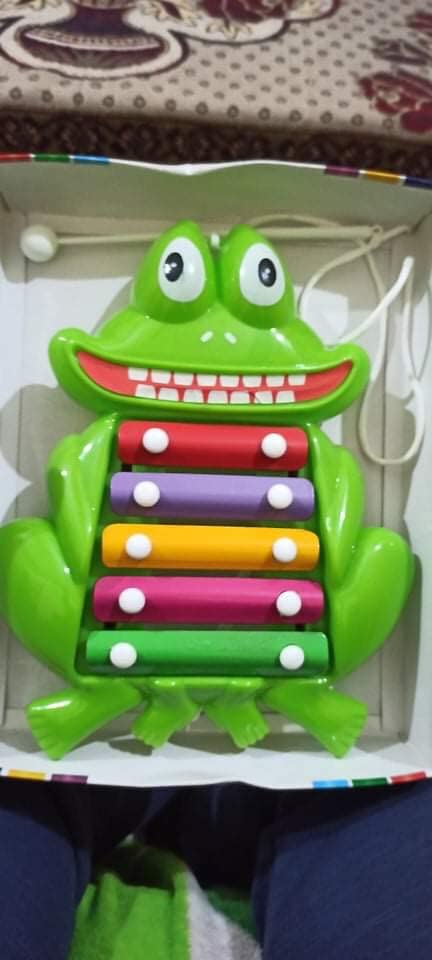 Buy Prime Frog Xylophone 2 in 1 Musical Toy & Pull Along Toy for Kids ...