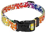 Country Brook Petz - Trippy Doggo Everyday Dog Collar - Made in The U.S.A. - Groovy Collection Featuring Far Out Designs (1 Inch, Medium)