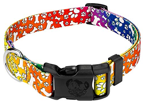 Country Brook Petz - Trippy Doggo Everyday Dog Collar - Made in The U.S.A. - Groovy Collection Featuring Far Out Designs (1 Inch, Large)