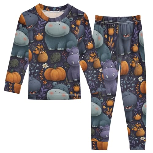 Pajama Sets Long Sleeve Cute Hippo Pumpkin Pattern Soft Comfy Sleepwear 2 Piece PJS 3-8T - Main Image