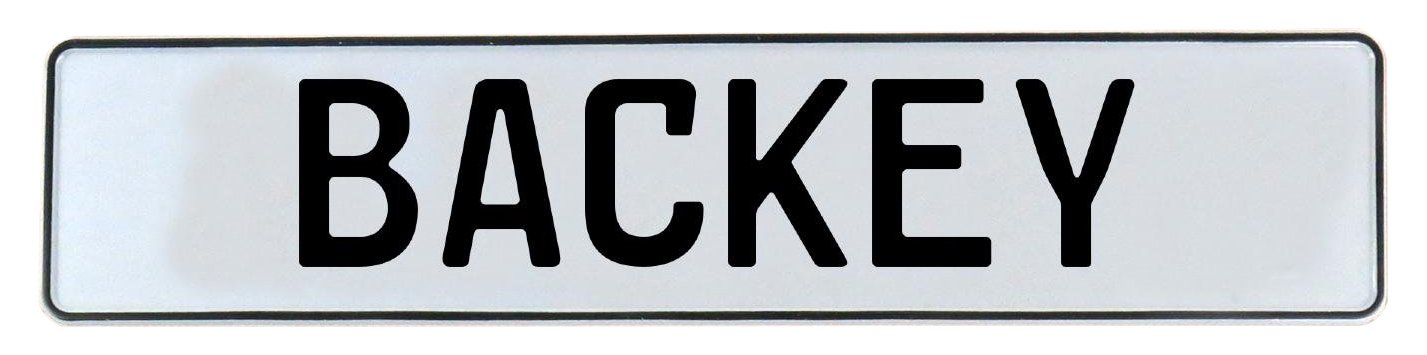 Vintage Parts 585831 Wall Art (Backey White Stamped Aluminum Street Sign Mancave)