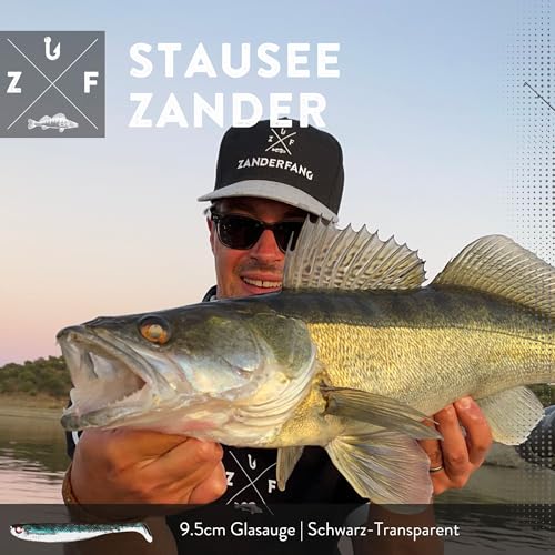 Foto von Zanderfang - Glasaugen Gummifische 9,5cm - Angelköder zum Raubfischangeln - mit Fischaroma aromatisiert - 5er-Set - Schwarz