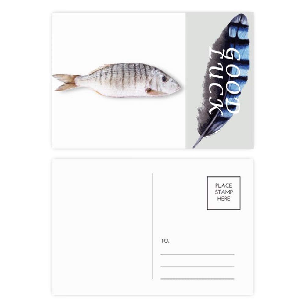 ガラス細工｜海｜海がめ｜フォーカートグラスワークス 海洋生物 亀 海洋動物 ラッキーフェザー ポストカードセット サンキューカード メーリングサイド 20枚