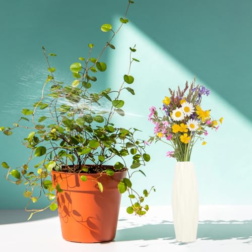 SEWACC Flower Vase Modern Style Tall Vase Decorative Floral Flower Container Desktop Adornment for Home Decoration - Image 4