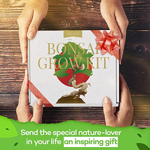 Bonsai-Tree-Kit--Plant-4-Species-of-Bonsai-Tree-w-Our-All-in-One-Plant-Kit-Bonsai-Pots-Peat-Pellets-Including-a-Bonus-in-Depth-Grow-Guide-by-Home-Grown-Great-Gardening-Gifts-for-Women-and-Men