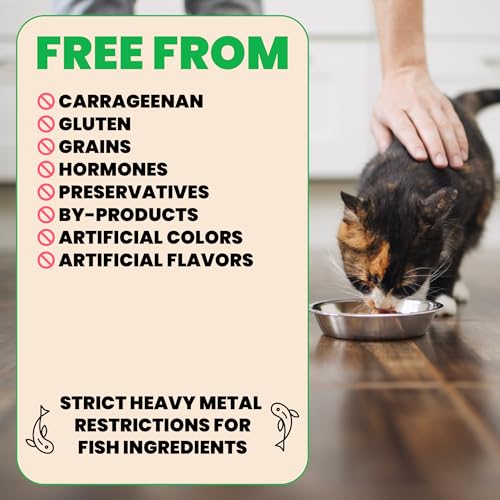 Almo Nature: HQS Natural Cat Pack 2 - (12) 2.47oz Can, Adult Cat Wet Canned Food - 3 Each: Atlantic Tuna, Mackerel, Trout & Tuna, Chicken & Shrimp - Image 5
