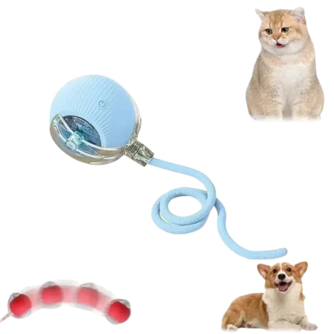 QITELL Interactive Cat Toy 2025 New Cat Toys for Indoor Cats, Kitten Toys for Bored Indoor Cats/Dogs (Blue)