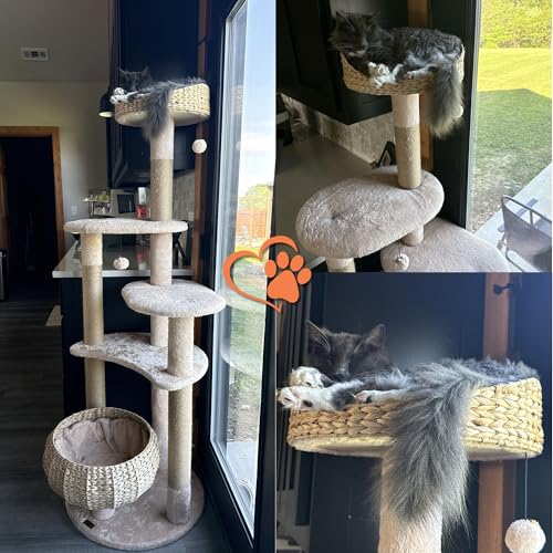 Árbol para gatos PETSITE 65 pulgadas con niveles y rascadores miniatura 2