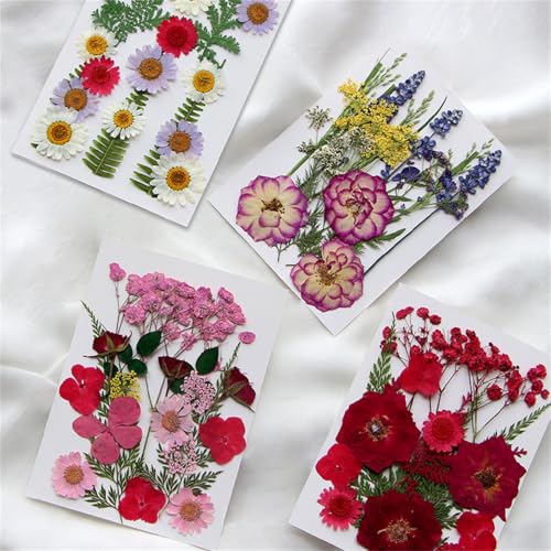 Flores secas prensadas para manualidades 18x13cm miniatura 4
