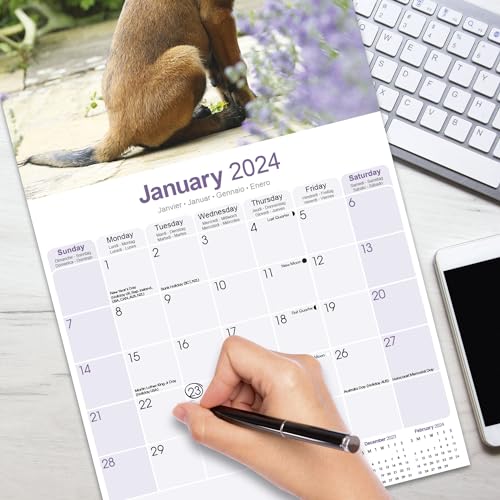 Belgian Shepherd Dog Calendar 2024 - Image 3
