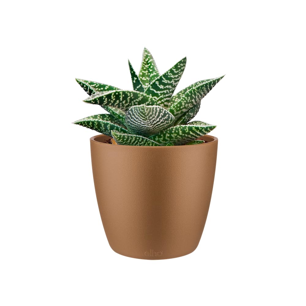 Elho Brussels Rund Mini Blumentopf – 10 X 8,9 Cm, Aus Recyceltem Plastik, Für Drinnen In Grün/Sorbet
