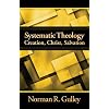 Systematic Theology: Creation, Christ, Salvation Hardcover November 1, 2012