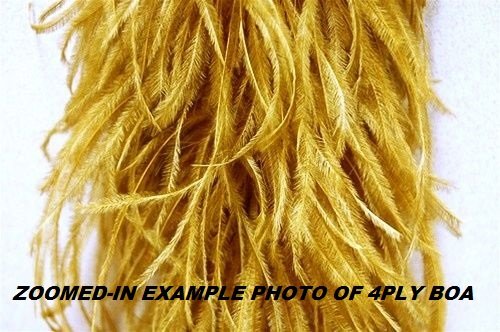 4 Ply Ostrich Feather Boa 2 Yards Many Colors for Halloween Costume Craft Theater Bridal (Black)