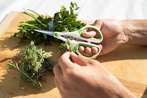 Image of Zyliss Heavy Duty Home & Kitchen Herb Shears Scissors with Innovative Stem Stripper, Versatile Kitchen Shears for Trimming Weeds, Flower Buds & More - White /Green - 8.5 x 4.2 x 0.4 inches