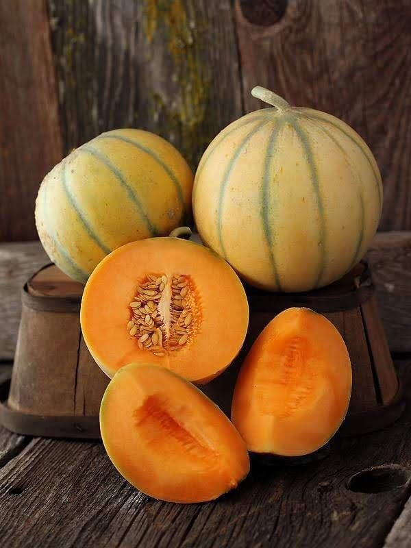 Ritz Farming® Musk melons seeds Sungold melons Seed fruit seeds For