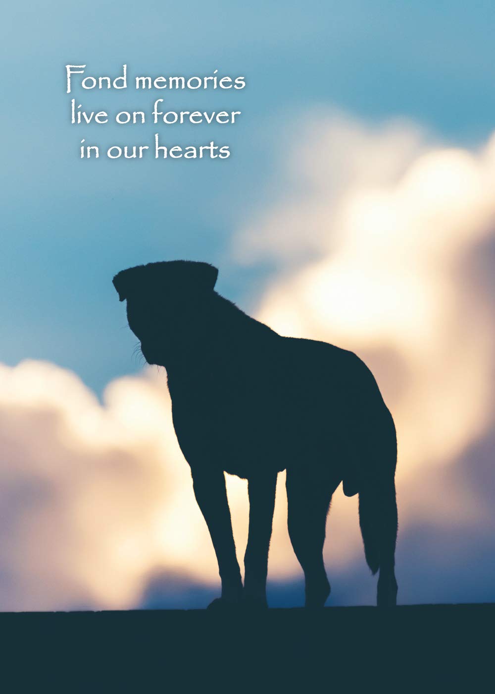 Glory To Dog Fond Memories Pet Bereavement/Sympathy Card with Greeting Card Mailing Envelope
