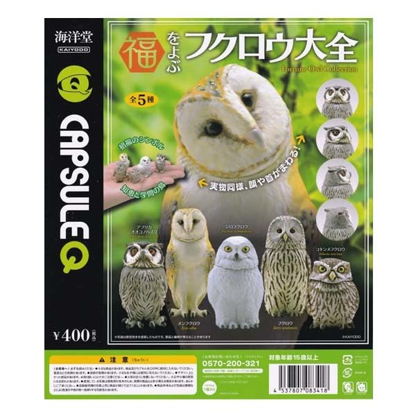 Amazon.co.jp: 海洋堂 カプセルQ 福をよぶ フクロウ大全 梟 Fortune