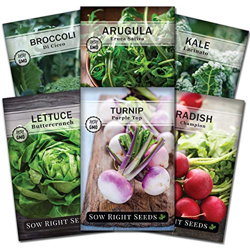 Sow Right Seeds - Fall Season Crops for Planting - Individual Packets Arugula, Broccoli, Kale, Lettuce, Radish and Turnip, Non-GMO Heirloom Seeds to Plant an Home Vegetable Garden in Fall or Spring