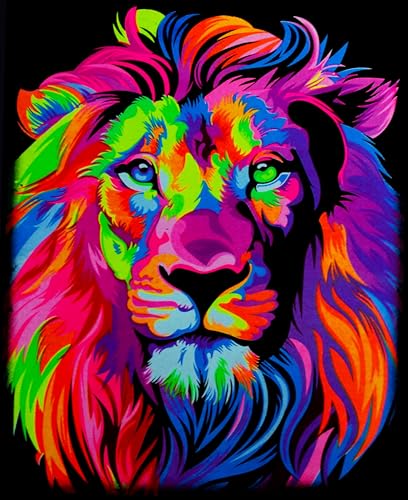 Ropa, Tools Imagen adicional