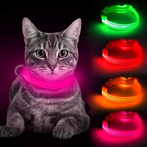 BSEEN LED Dog Collar, USB Rechargeable Light Up Pet Collar for Small Dog, Glowing Safety Cat Collar with Adjustable Nylon Webbing High Visibility for Dogs & Cats (Pink)