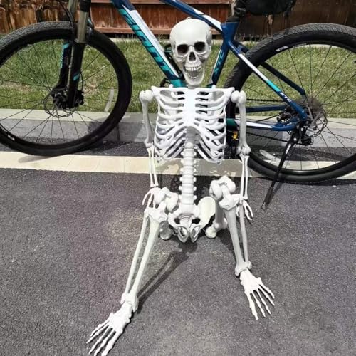 51n6J4x-pWL._AC_ Life Size Halloween Skeleton Decoration - 65 Inch Movable Human Plastic Skeleton for Indoor Outdoor Realistic Full Body Bones with Movable Joints for