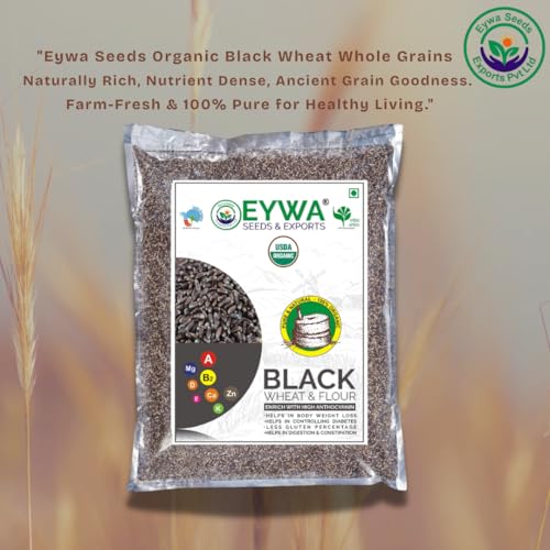 Image of Eywa Seeds & Exports Pvt Ltd Organic Black Wheat Whole Grains (10 Kg) for Eating and Cooking | Kale Gehu Daane | Produce of India From Organic Farms By Eywa