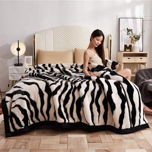 |ѕz 2킹ѕz ѕz   LgPbg X[Pbg tl V[v{A ۉ ybgpɂ QPbg ԕ ÓdCh~ t@Xi[t  M 􂦂 uPbg |ӂƂJo[