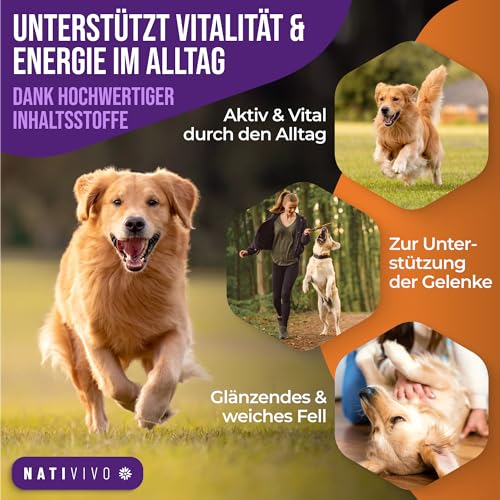 NatiVivo Premium Omega 3-6-9 Hunde Barföl 500ml Omega 3 Boost Fischöl mit Hanfsamenöl 100% natürlich Hochwertige Ergänzung für Barf & Trockenfutter Made in Germany
