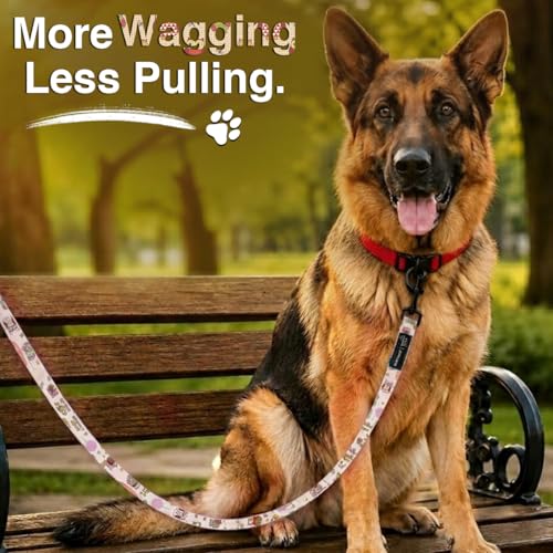 Image of Bowlers Dog Leash for Small, Medium & Large Dogs | Owl & Beige Design | Durable Nylon Pet Walking Lead | Strong Metal Hook | Comfortable Grip for Daily Walks & Training