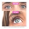 Show-Lash-Eyelash-Growth-Serum-for-Longer-Thicker-Gorgeous-Looking-Lashes-Irritation-Free-Eyelash-Serum LeVaye Cosmetics Show Lash Eyelash Serum for Longer, Thicker, Gorgeous Looking Lashes, Cruelty Free Lash Serum