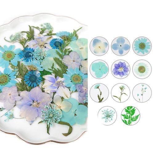 Amazon.co.jp: GreenOcean 押し花MIX 約33枚 アソートセット