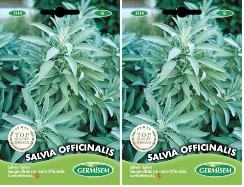 Germisem Salvia Officinalis Semillas de Salvia 1 g, EC1114 (Paquete de 2)
