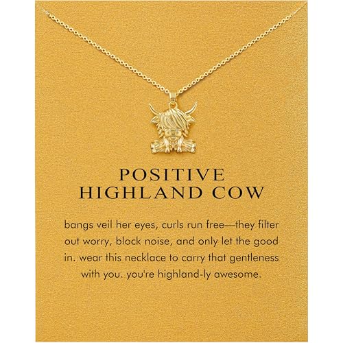 Baydurcan Friendship Anchor Compass Necklace Good Luck Elephant Pendant Chain Necklace with Message Card Gift Card